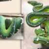 Baby Amazon Basin Emerald Tree Boa - Image 6