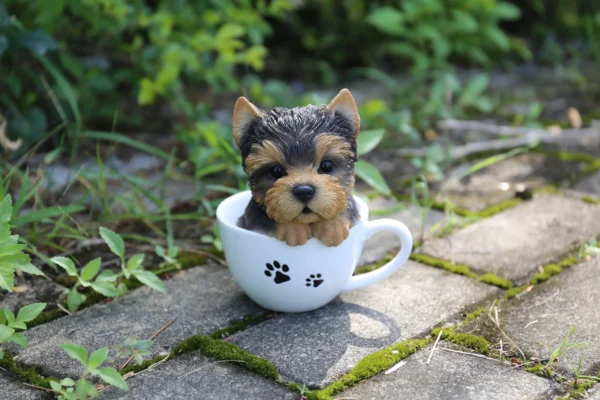 Female T-cup Yorkie Puppies - Image 3